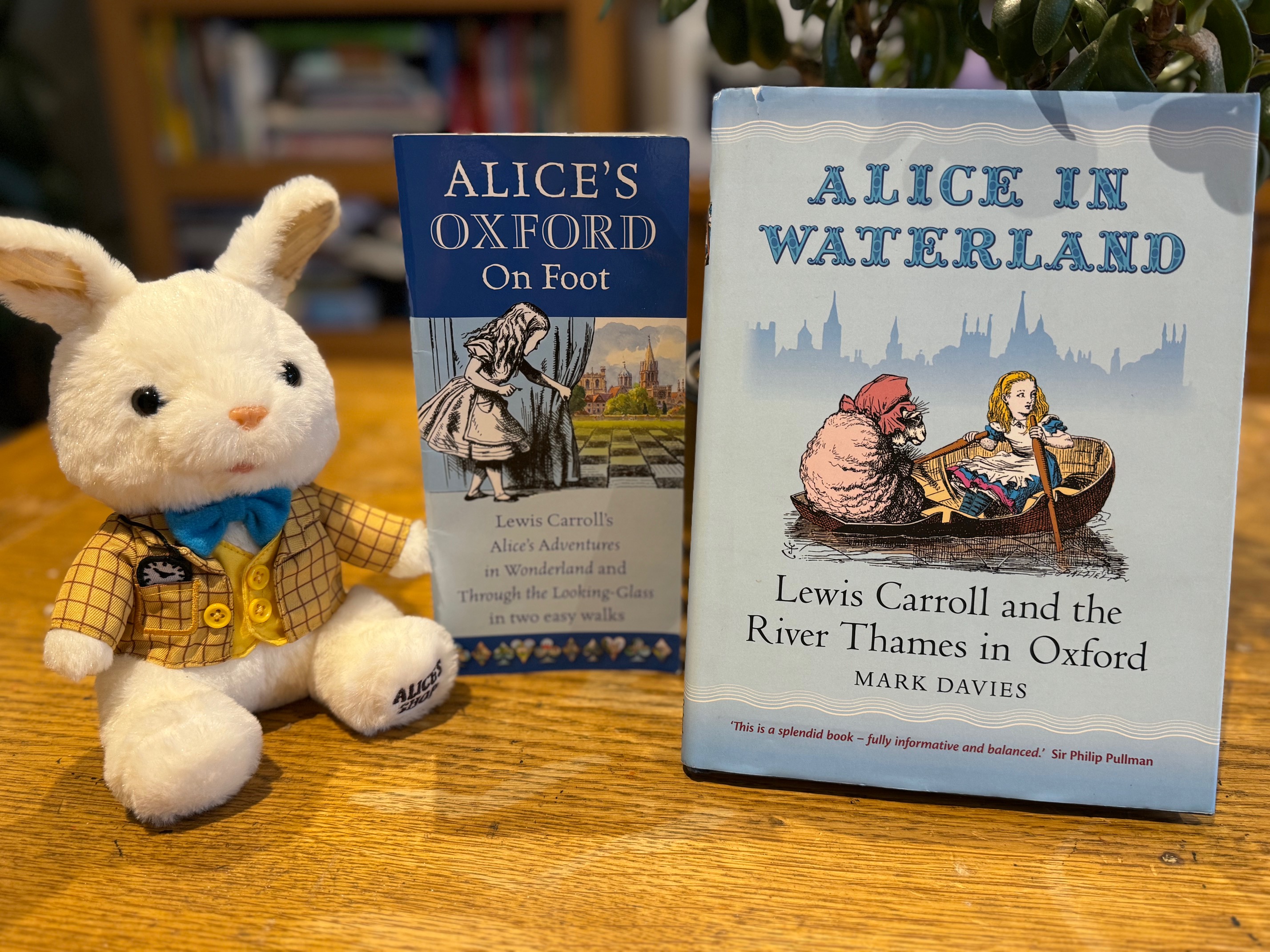 Waterland & White Rabbit